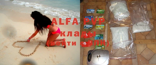 дживик Осташков