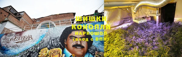 эйфоретик Осинники