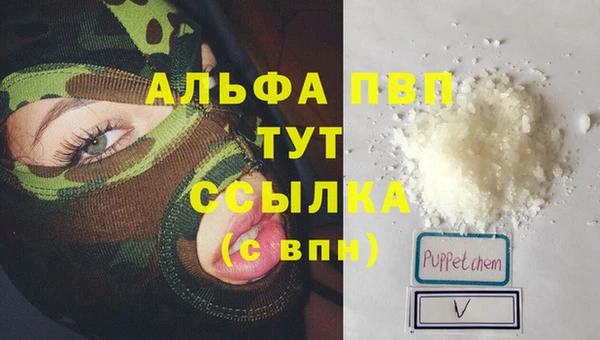 дживик Осташков